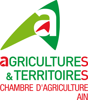 logo CA Ain